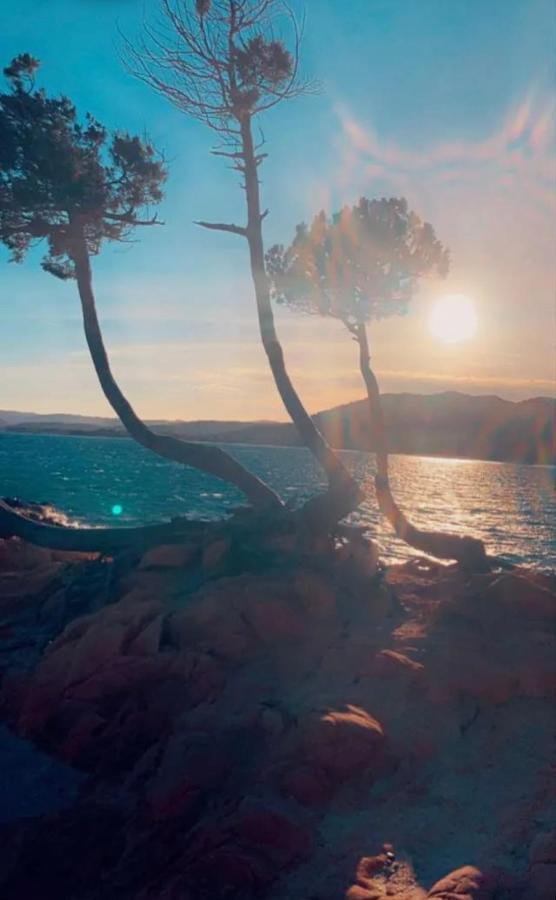 Palombaggia Location I Pini Porto Vecchio 호텔 외부 사진